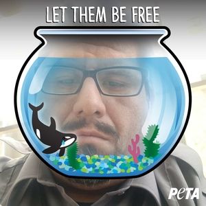 Meet your Posher, Richard